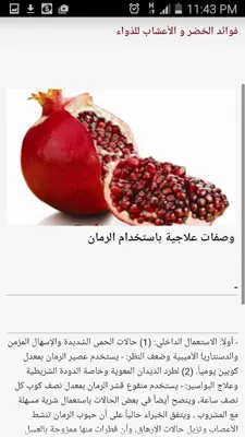 فوائد الخضر و الأعشاب للذواء android App screenshot 0